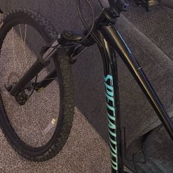 Specialized Bike 