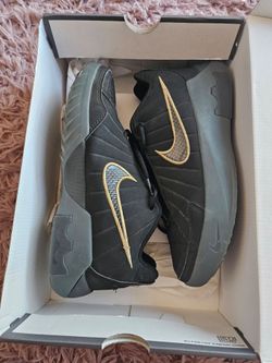 LeBron witness (youth)