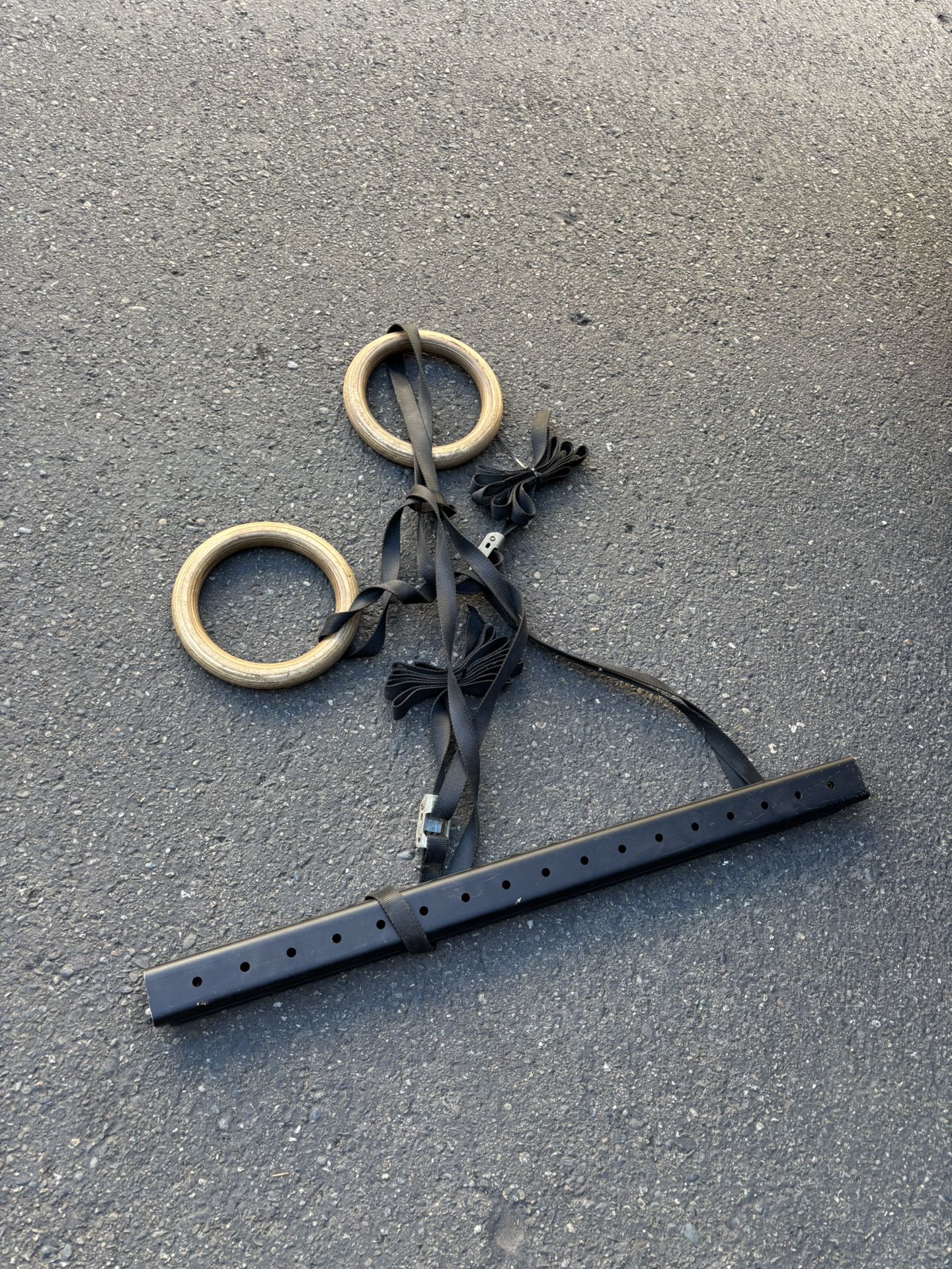 Gym ROGUE RING HANGER With Ring