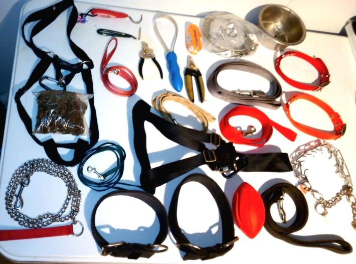 Assorted Dog Handling Equipment
