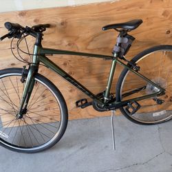 Giant Escape City Bike