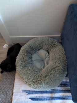 Pet bed