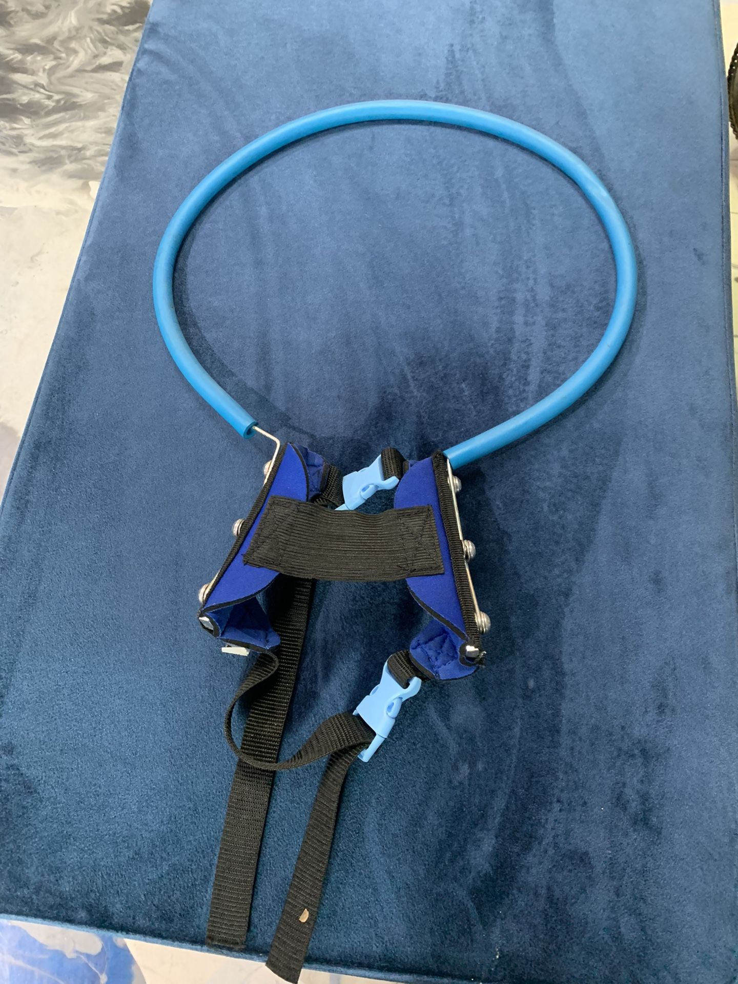 Brand New Pet Harness Ring $20