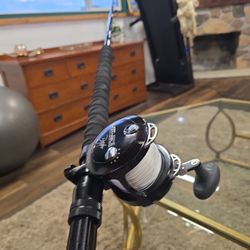 Fishing Setup Avet Raptor Phenix Axis Almost New