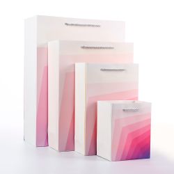 BEROIA Premium Gift Bags – 12 Pack – Pink Chevron – Size L – 9.6×3.7×12.6 in – 210 GSM