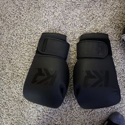 KRBON Kickboxing Gloves