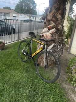 Unknown fixie