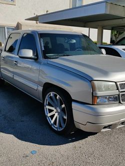 24 Black Rhino For Sale!!!