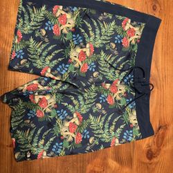 North Face 3 Fish Studios Board shorts Size 34