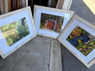Set of three frames grapes theme