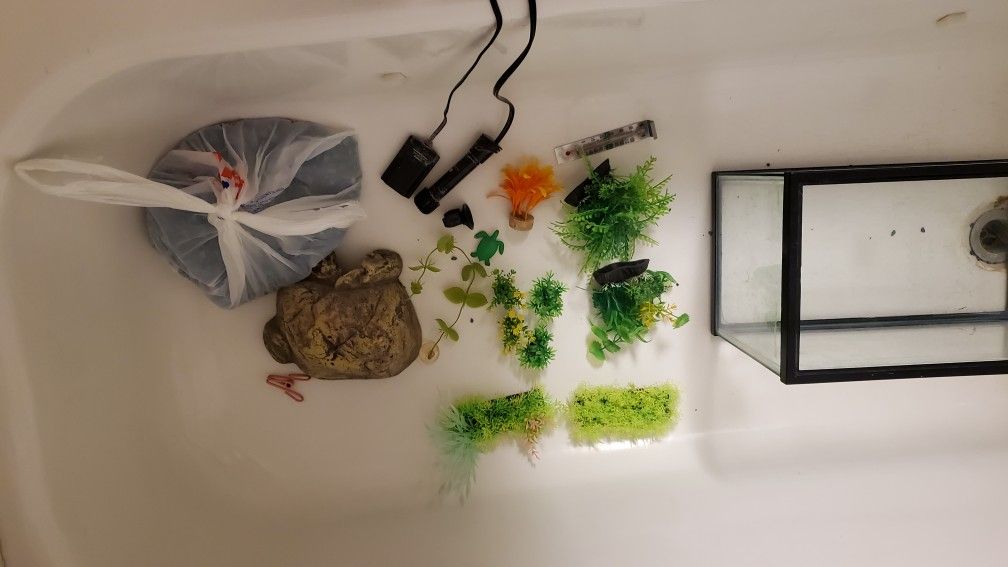 Fish Tank