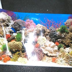 Aquarium Wallpaper