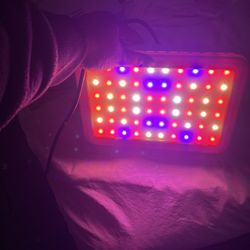 50$ For Both OBO  Grow Lights