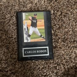 Carlos Rodon Frame
