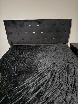 Black Velvet Upholstered Headboard with Gold Studs