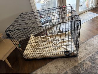 Kong X-Large dog crate