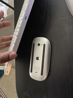 Apple mouse and keyboard ( newest )