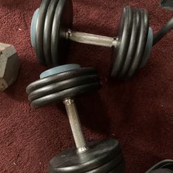 Dumbbells 65 lbs