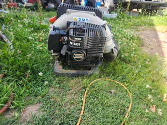 Echo leaf blower works great