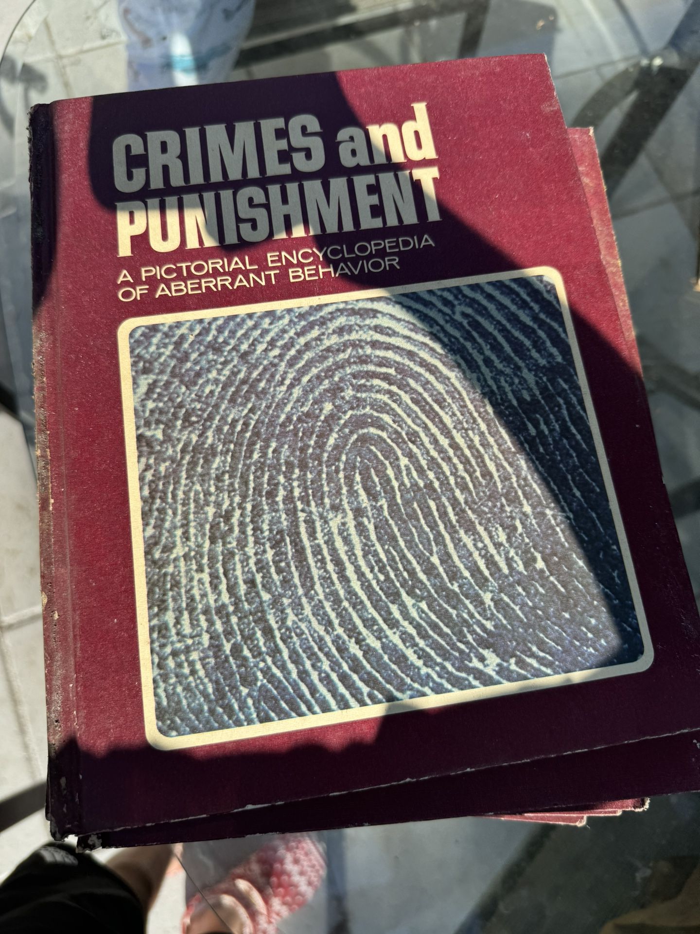 Crime Series Books 