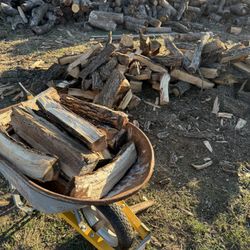 Firewood 
