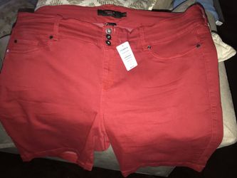 Torrid shorts