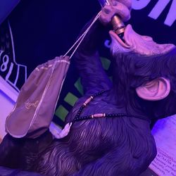 Monkey Bottle Holder