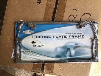 Palm Tree License Plate
