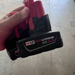 Milwaukee M12 XC 3.0 (2) Pair