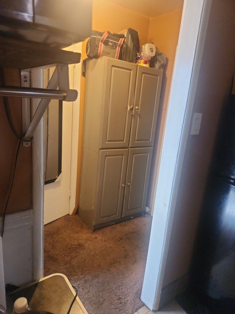 Tall Cabinet $100