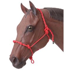 horse halter
