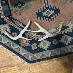 Deer Antler Shed