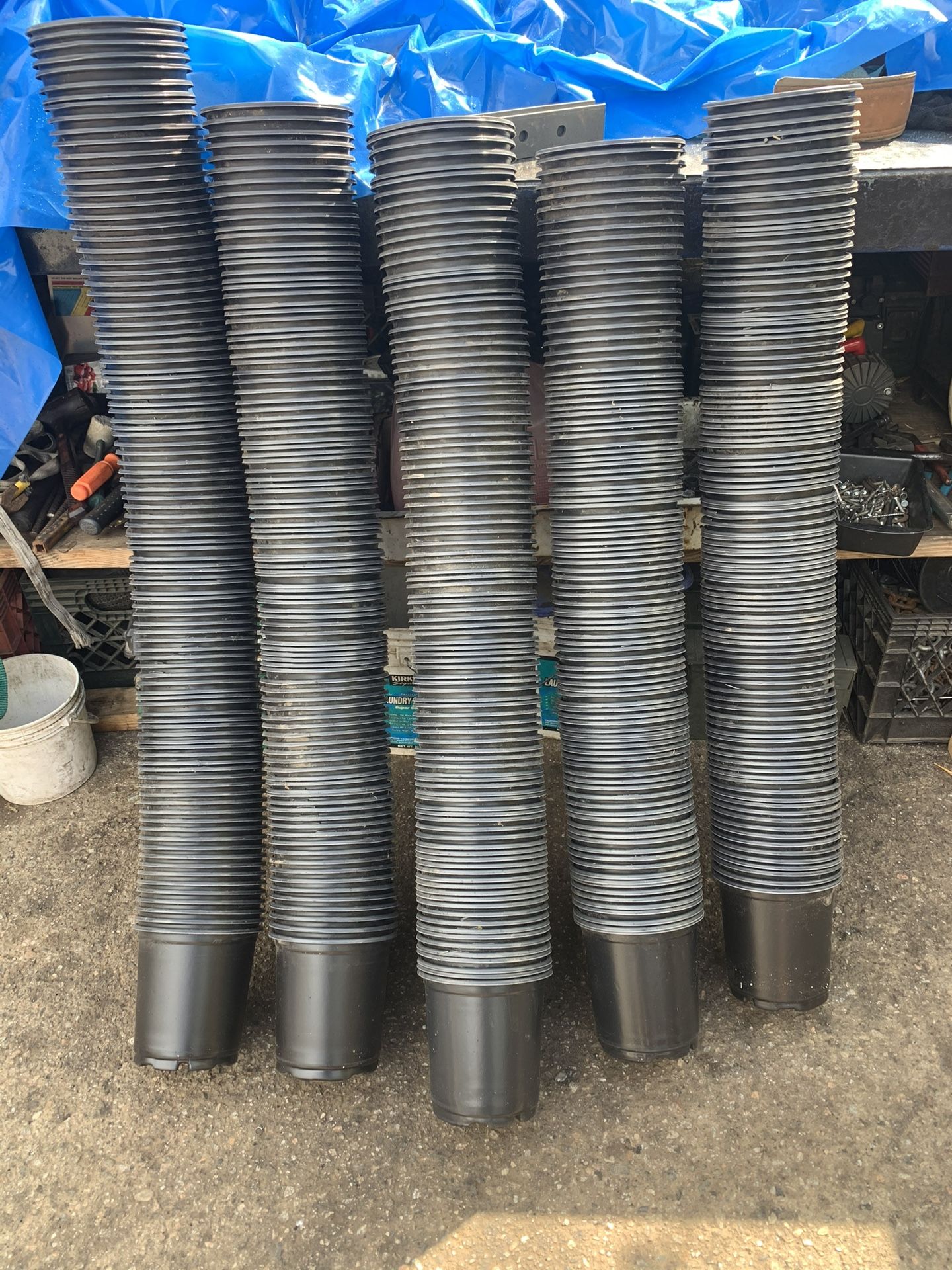 New plant pots 1gal (100 for $35)