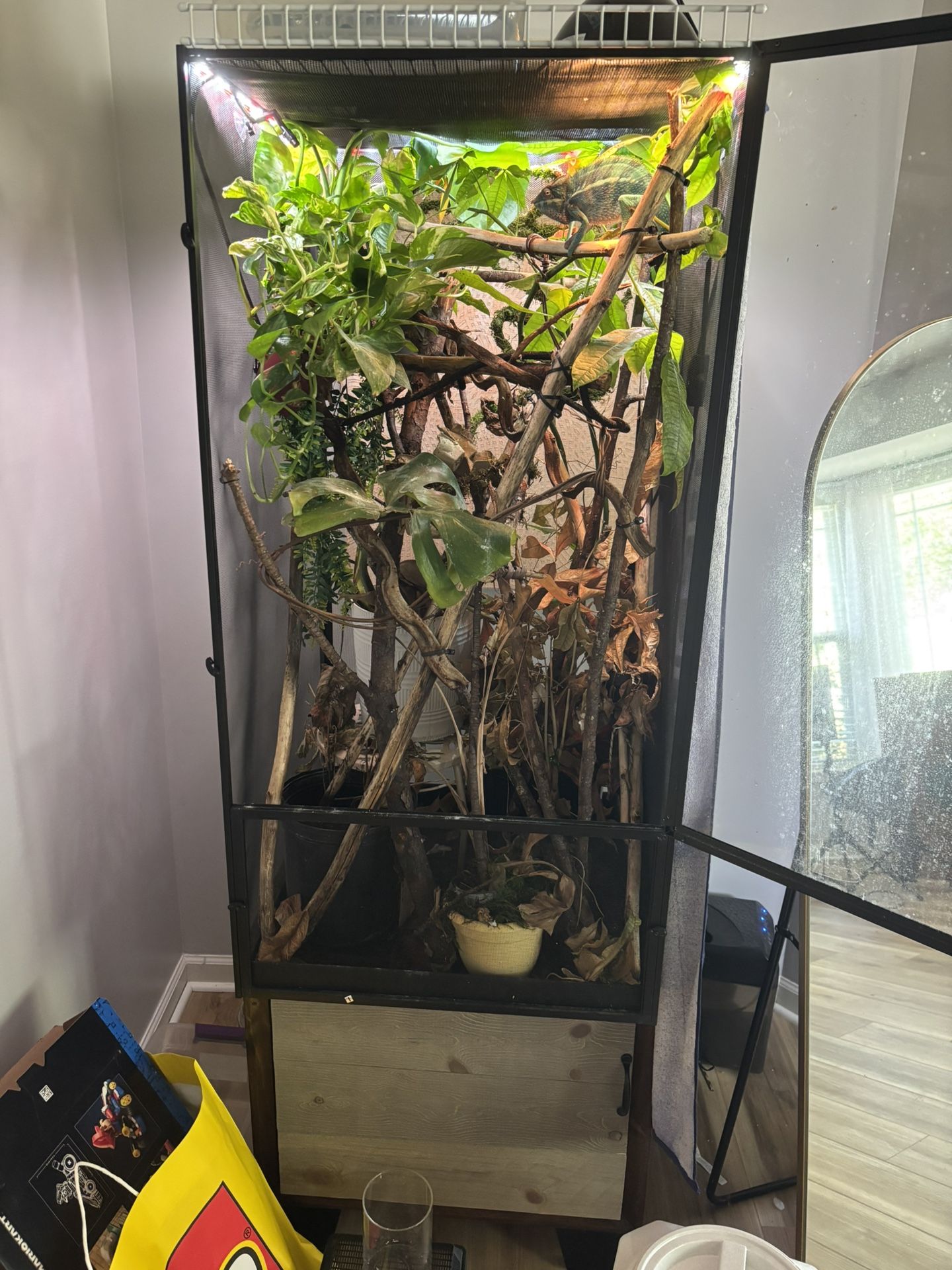Cham Tank