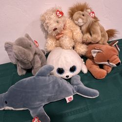 Lot Of 6 Beanie Buddy’s TY plush 
