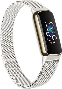 Women's Silver Luxe Watchband