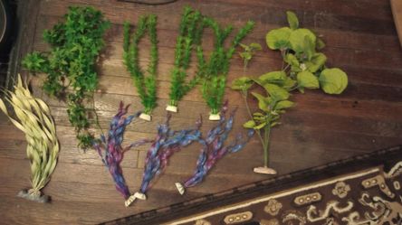 Aquarium Decorations