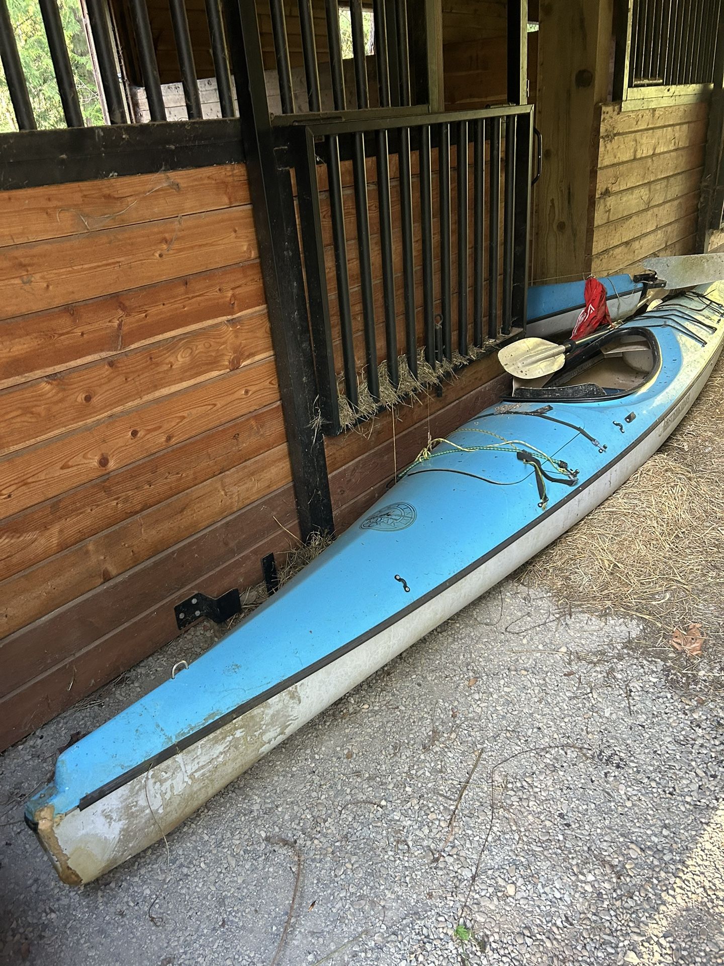 Sea Kayaks For Sale $200 Each Or Best Offer