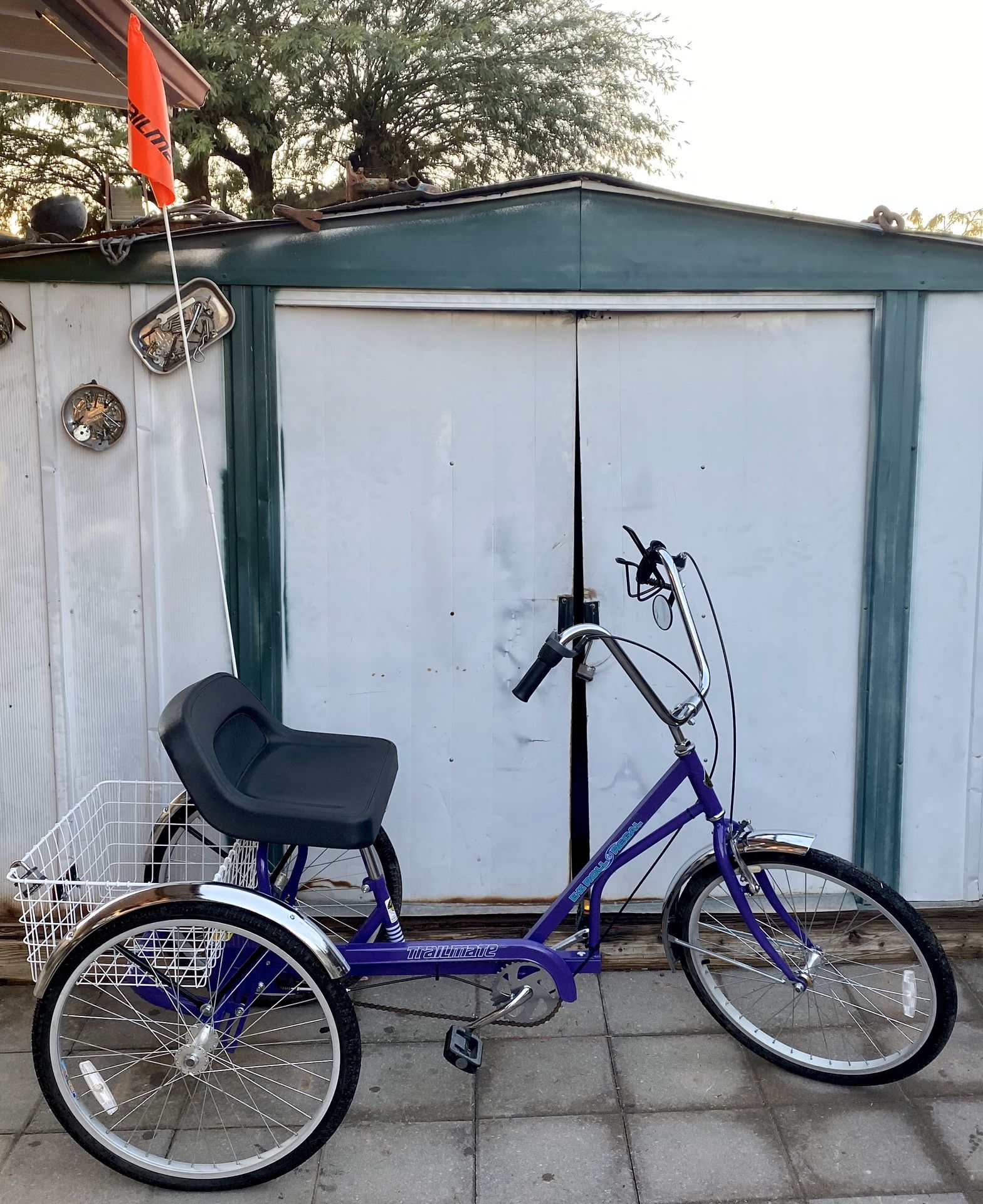 Adult Tricycle