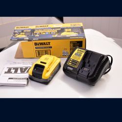 DeWalt 20 v