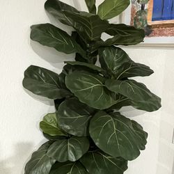 Designer realistic artificial outdoor plant 6 feet $300 One for Only $150