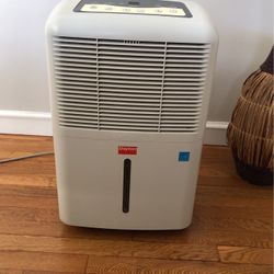 Dayton Dehumidifier 
