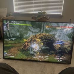 Lg 55 Inch Smart 4K HDTV Year 2019 Version