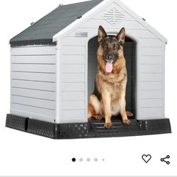 Dog House