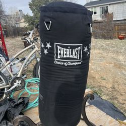 Everlast Punching bag