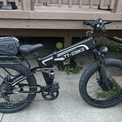 TT E Bike