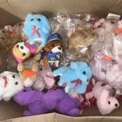 Toy Dog