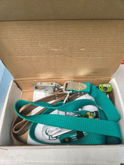 Buckingham Supersqueeze 488DWMS