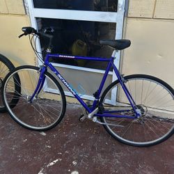 Blue Bike