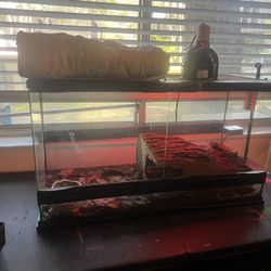 25 gallon reptile tank 